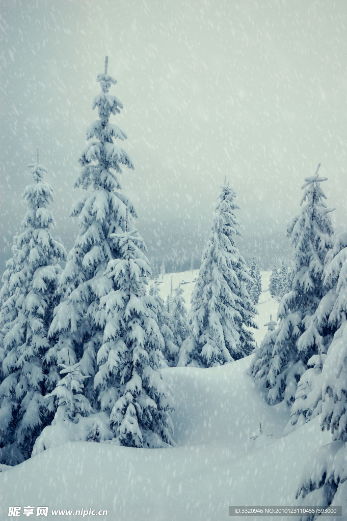 冬季雪景高清图片