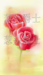 双玫瑰