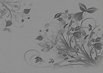 花纹