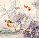荷塘鸭子