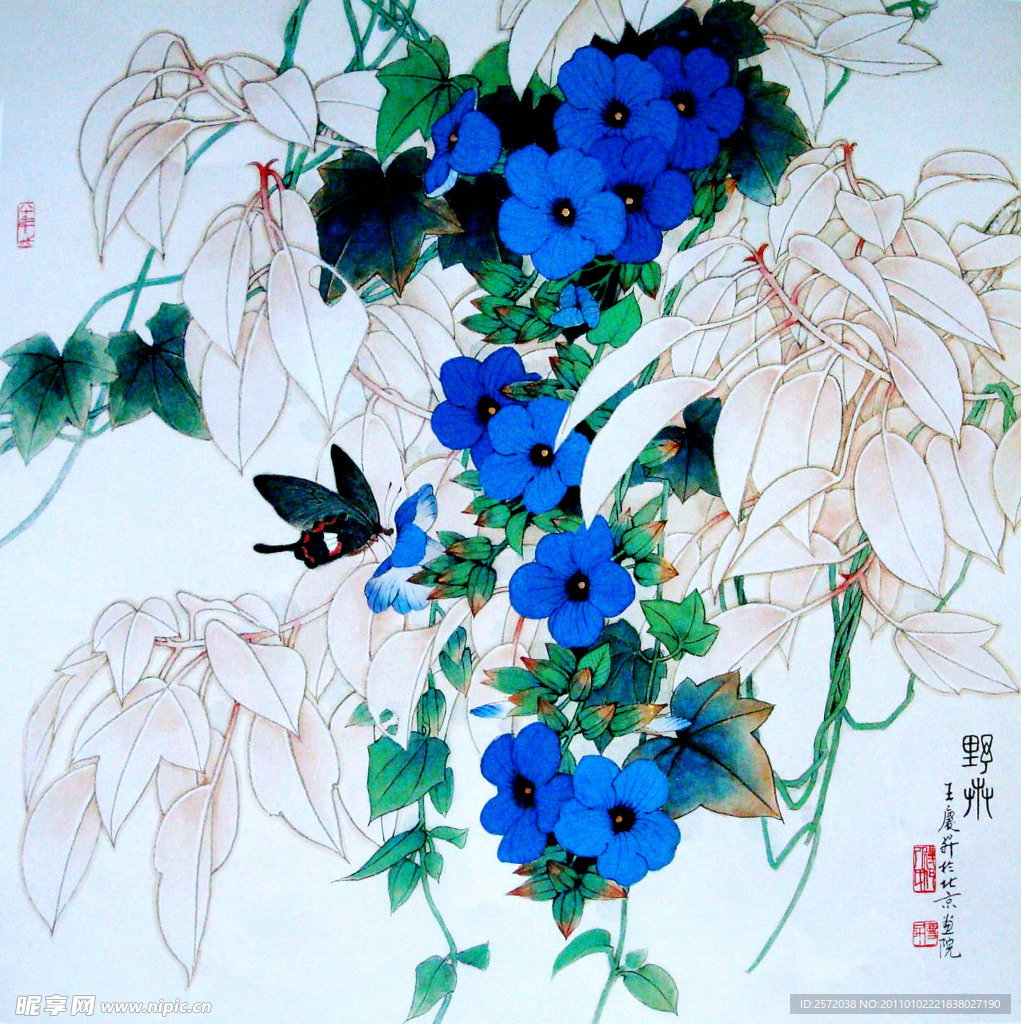 野花