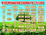 林权制度改革