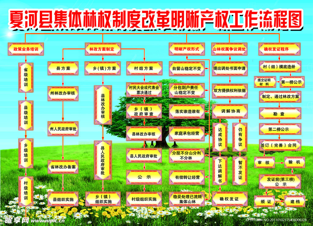林权制度改革