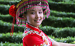 采茶妹