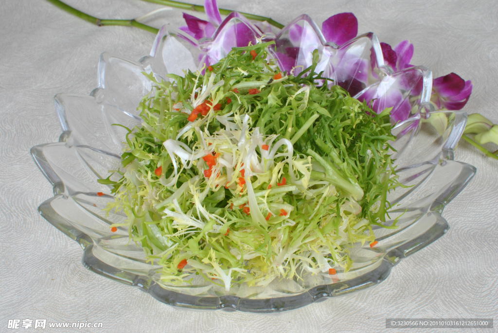生汁苦叶菜