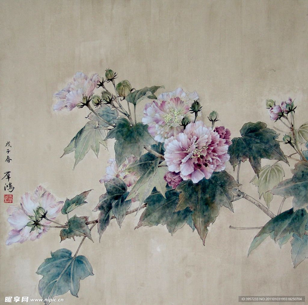 花卉写生