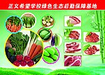 蔬菜宣传栏