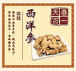 西洋参