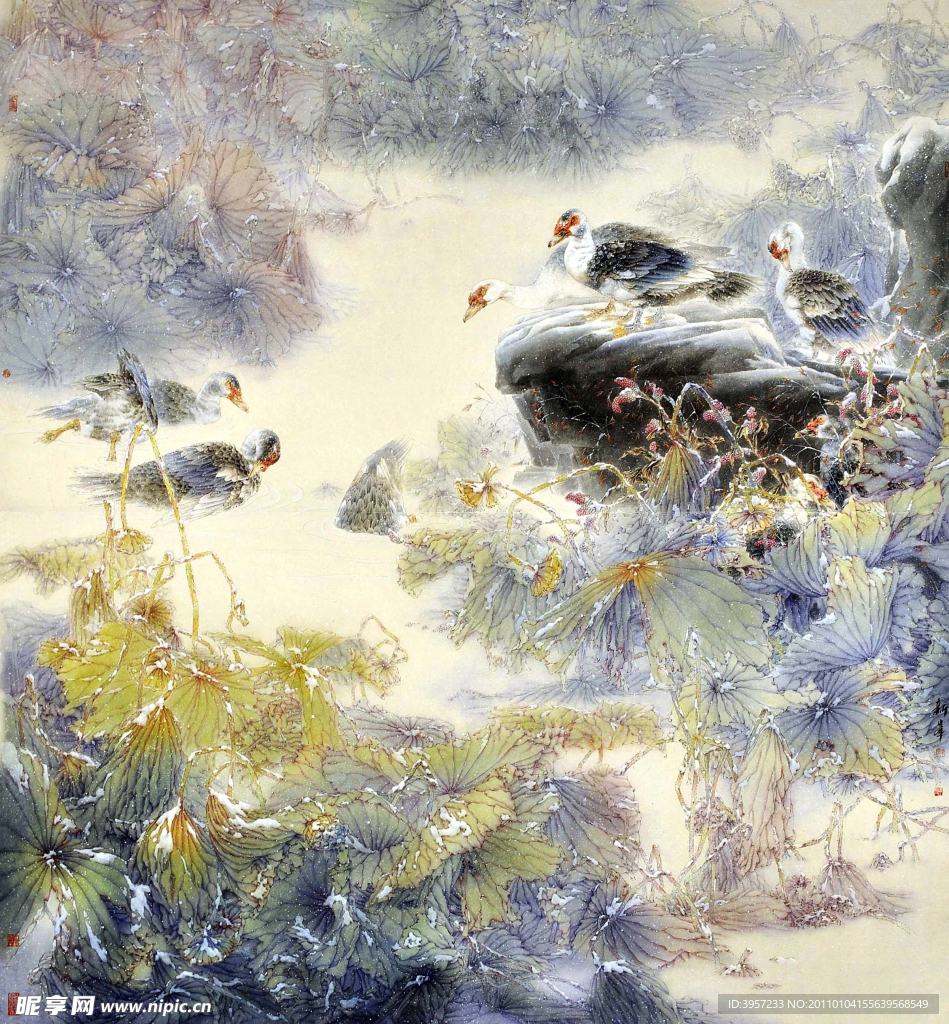 水禽