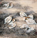 露水野禽