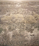 野茫茫