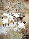 山羊