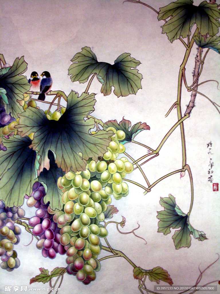 葡萄