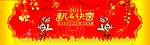 2011 春节背景