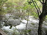 黄龙风光