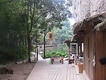 茶店