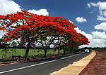 公路风景