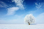 茫茫原野冬季雪景