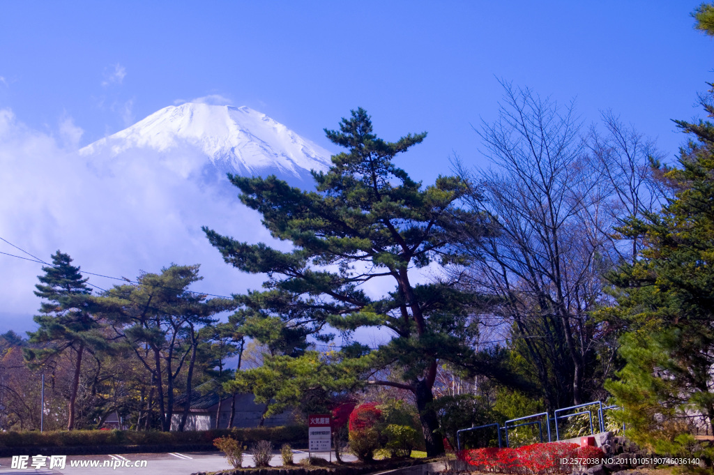 富士山