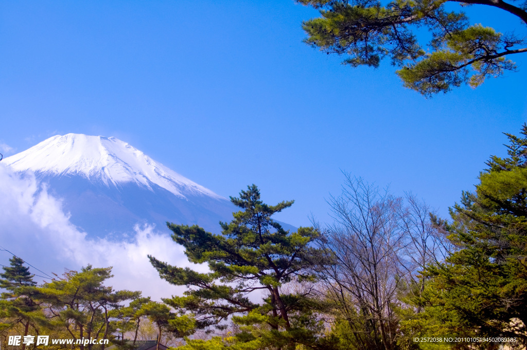 富士山