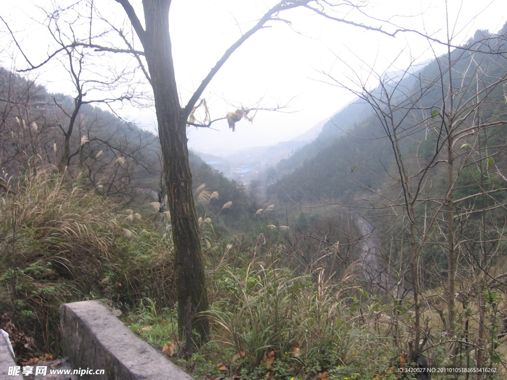 风景