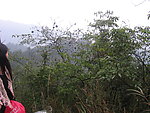 冬游