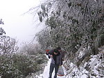 雪景