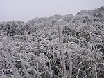 雪景