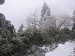雪景