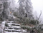 冬季风光