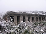 雪景