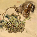 葡萄松鼠