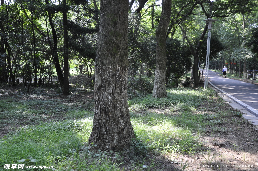 中山植物园