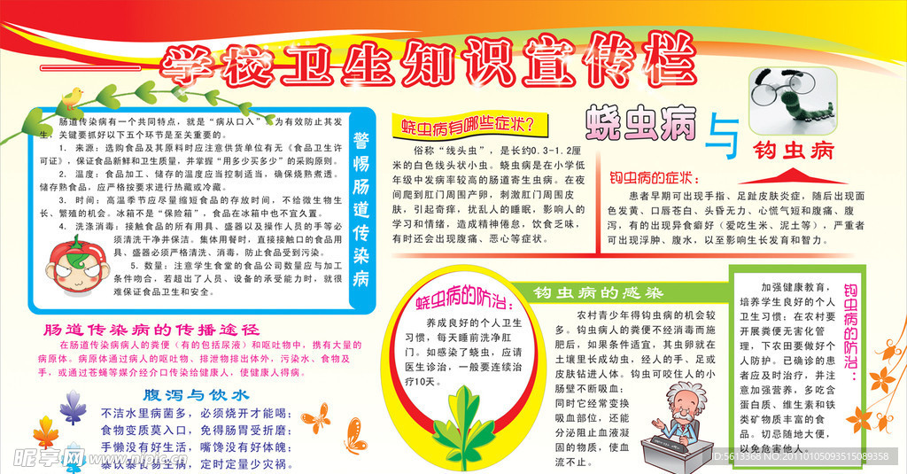 学校卫生知识宣传栏