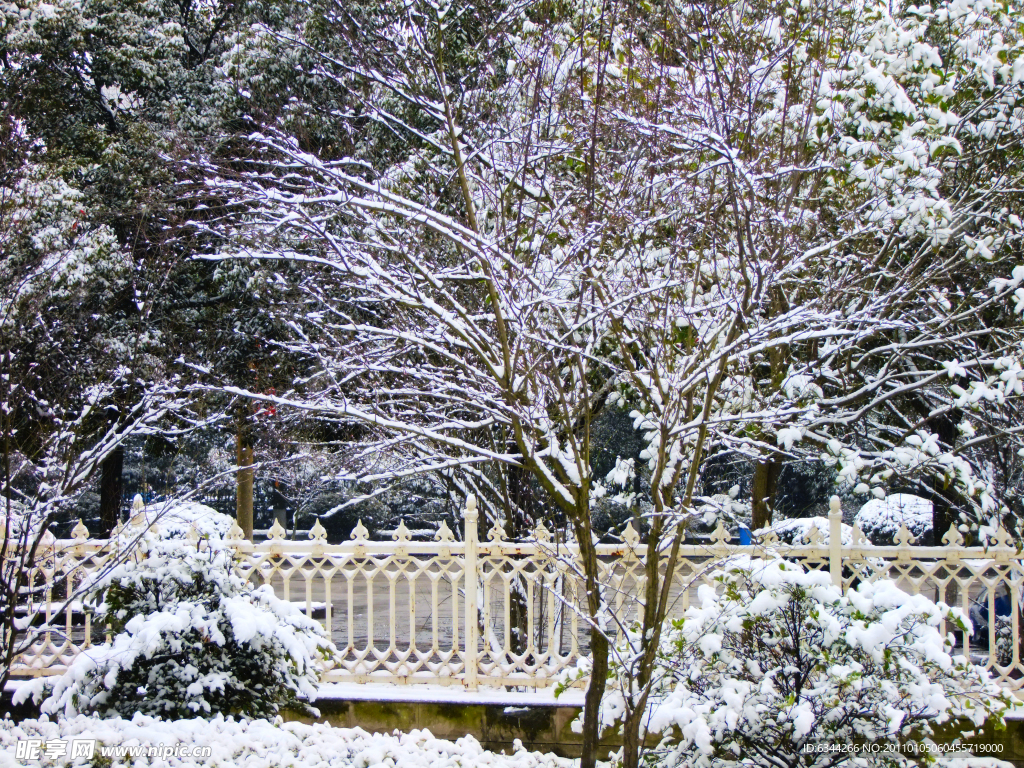 冬天 雪景