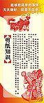剪纸知识