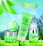 精纯芦荟灯片