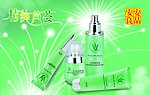 精纯芦荟灯片