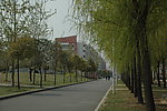 郑州大学