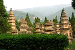 少林寺塔林