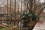 杭州西湖杨公堤一景