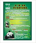 玛玫哚宣传单