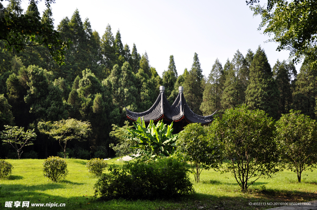 中山植物园