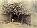 大佛寺东街