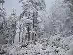 瓦屋山风光