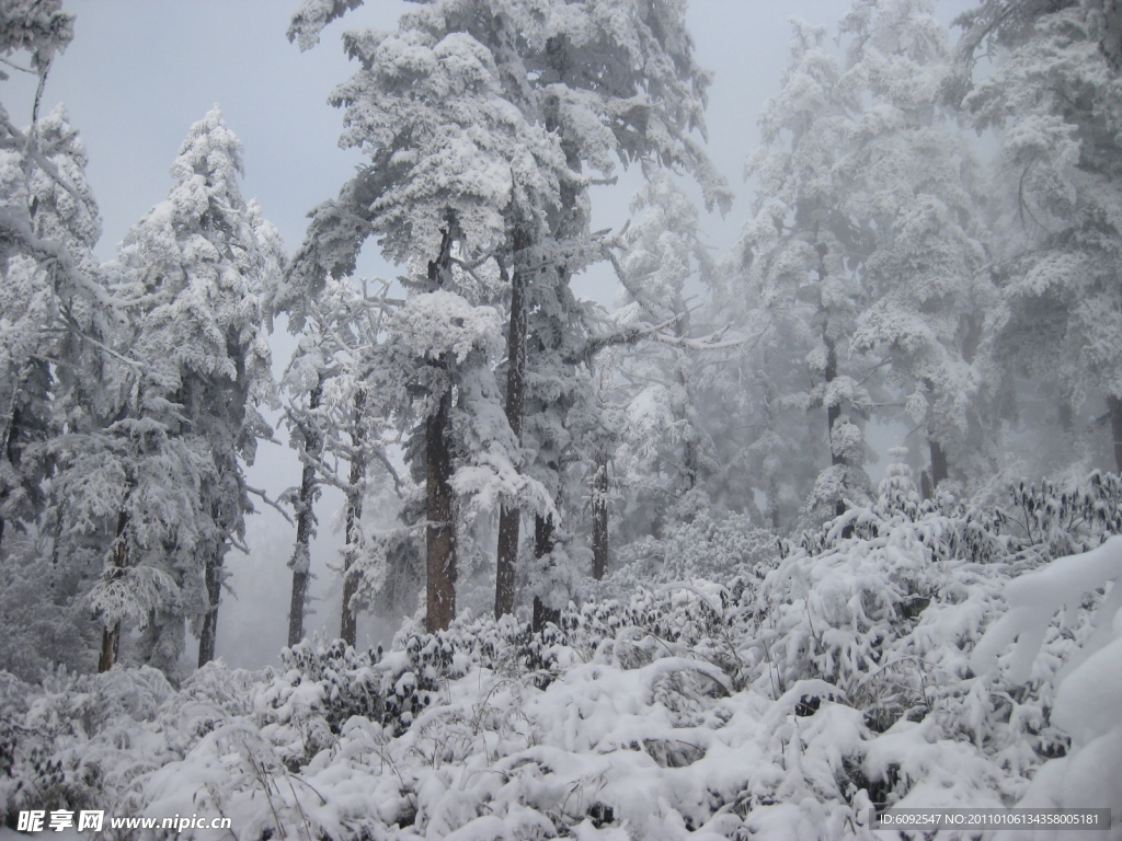 瓦屋山风光