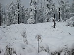 雪景