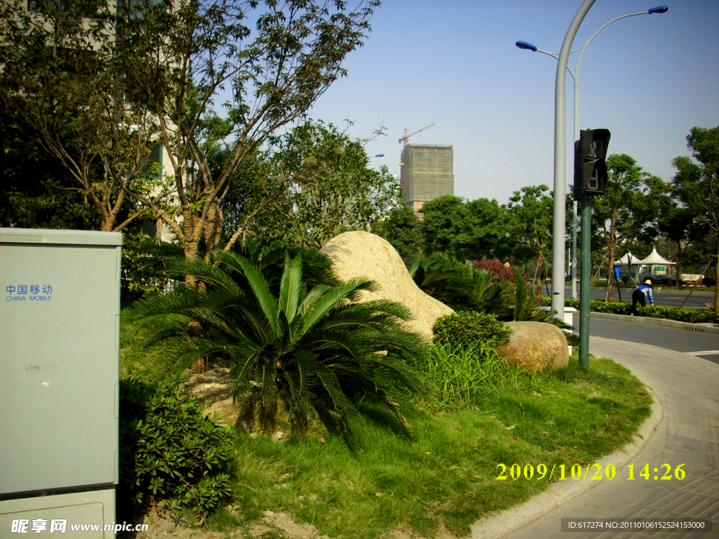 2009道路绿化银奖钱江路