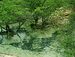 黄龙风光