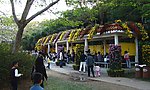 菊花天地